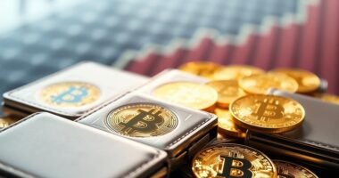 bitcoin wallets surge high