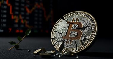 crypto crash predictions arise