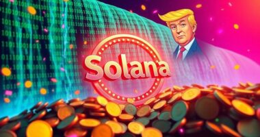 solana meme coin surge