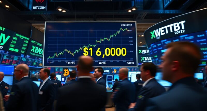 bitcoin recovers after volatility