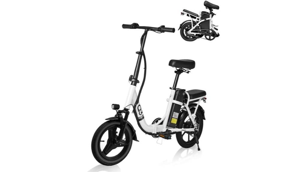 adult electric bicycle