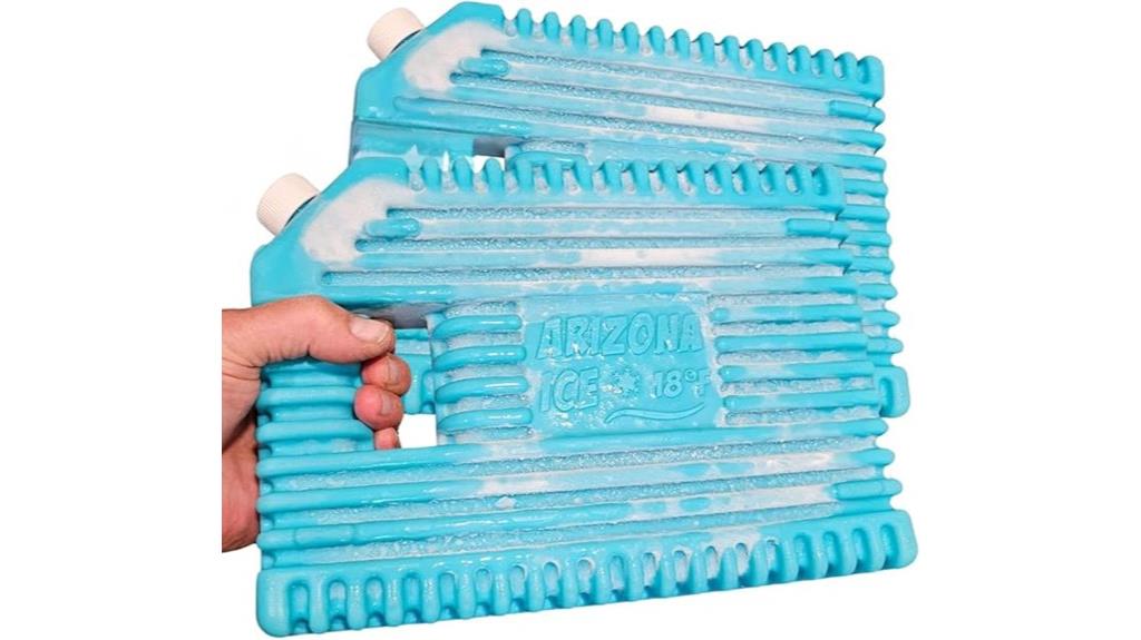 arizona ice packs 12x9 2 pack