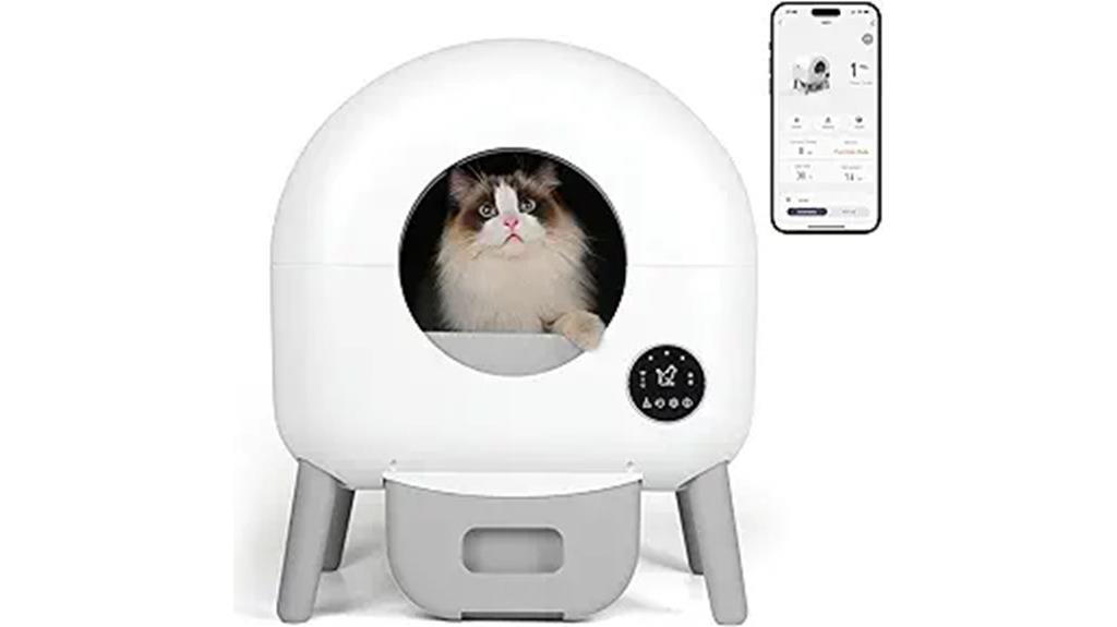 automatic litter box setup