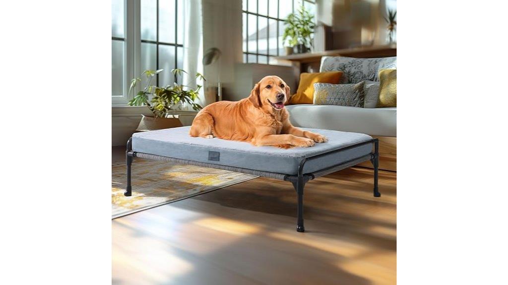 large elevated dog bed