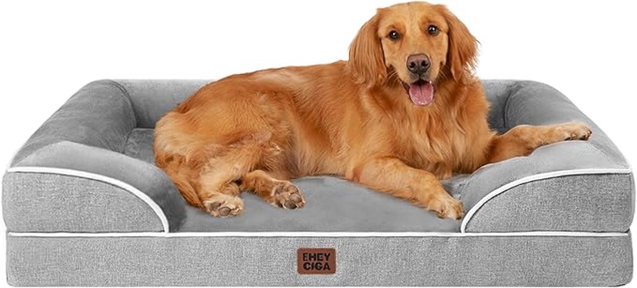 orthopedic large dog bed