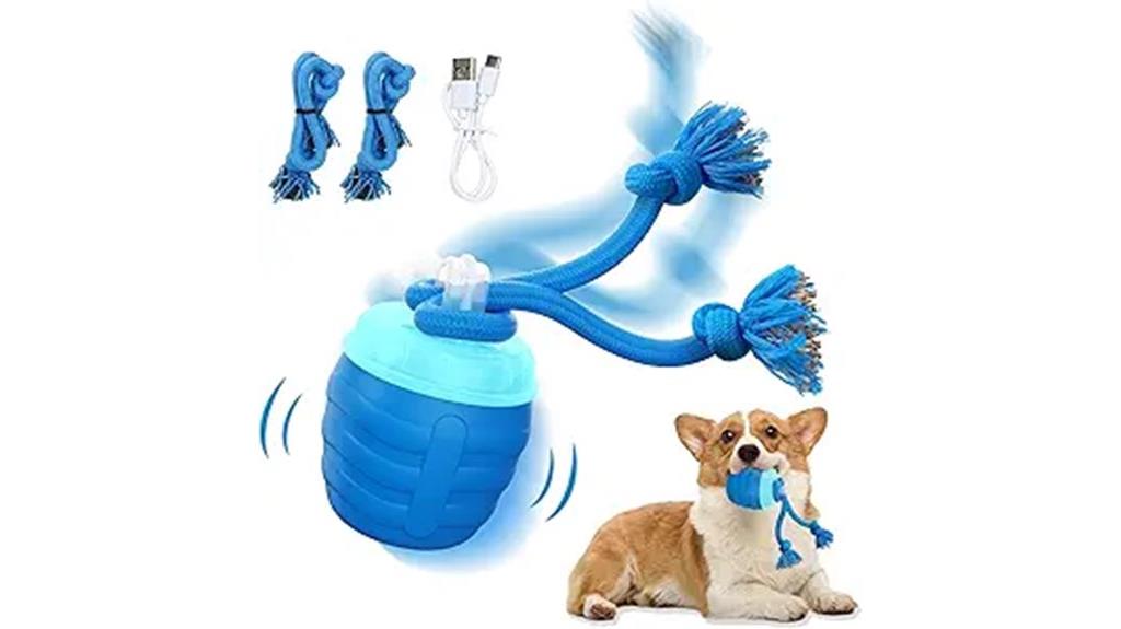 rechargeable musical dog ball
