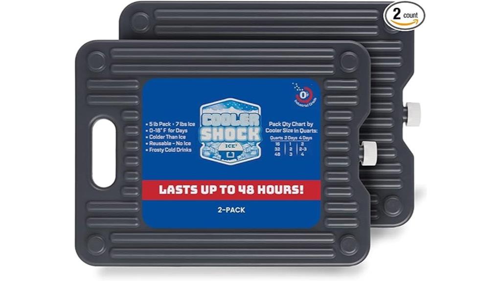 reusable large ice pack