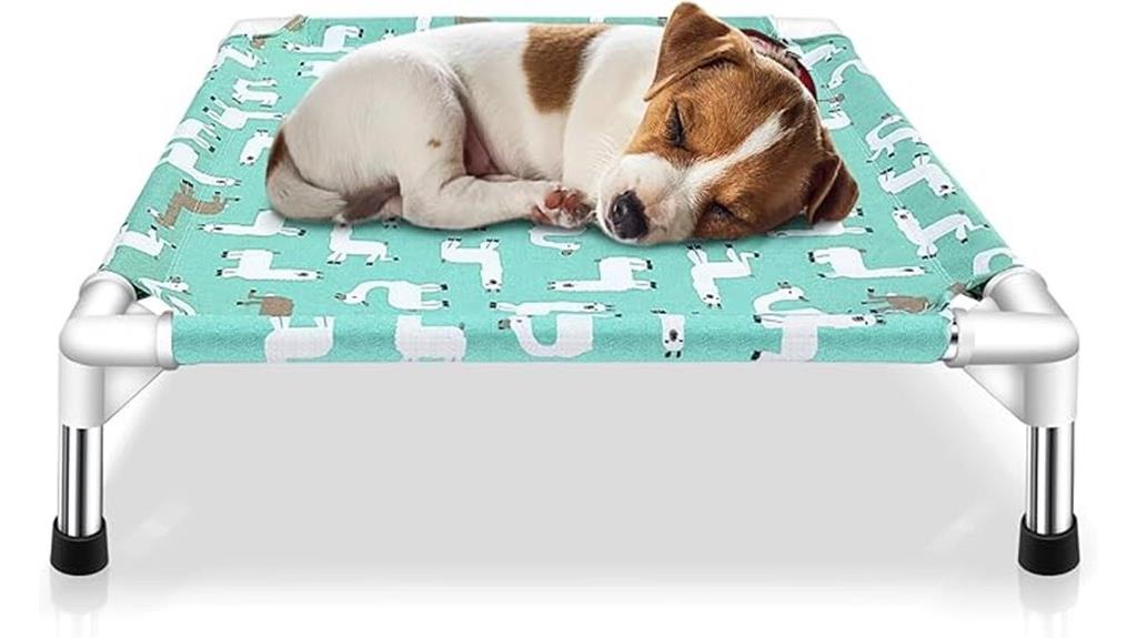 small elevated dog bed