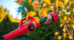 top cordless leaf blowers