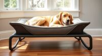 top elevated dog bed options