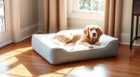 top orthopedic dog beds