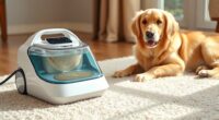 top portable pet carpet cleaners