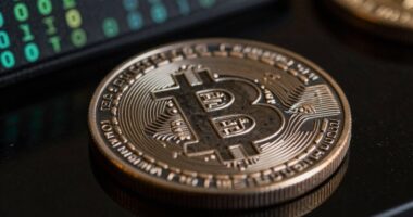 bitcoin scarcity drives demand
