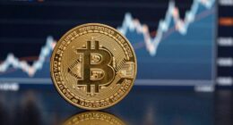 effects and limitations explained