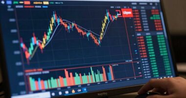 transaction price fluctuation