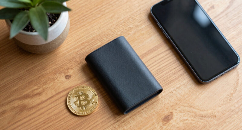 14 Best Cryptocurrency Hardware Wallets in 2026
