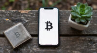 New Hampshire snuffs out trailblazing state-government bitcoin bond effort