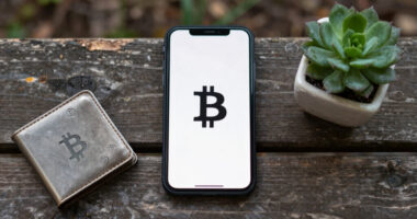 New Hampshire snuffs out trailblazing state-government bitcoin bond effort